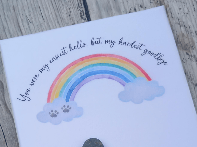 Pet loss pebble picture | In loving memory | 5" x 7" canvas frame 