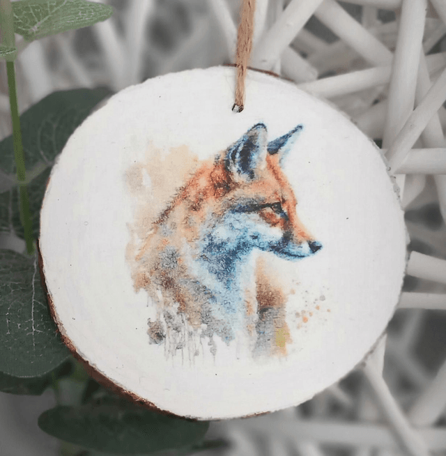 Fox log slice