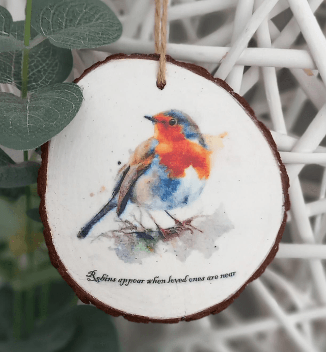 Robin log slice