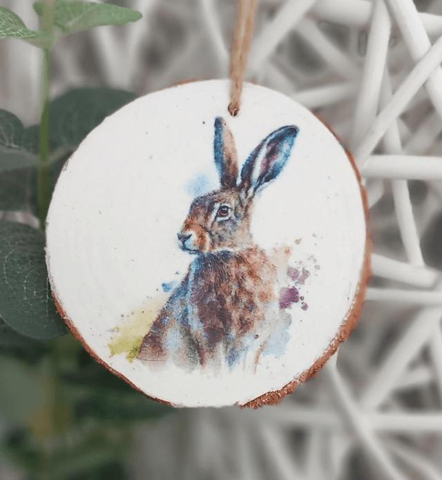 Hare log slice